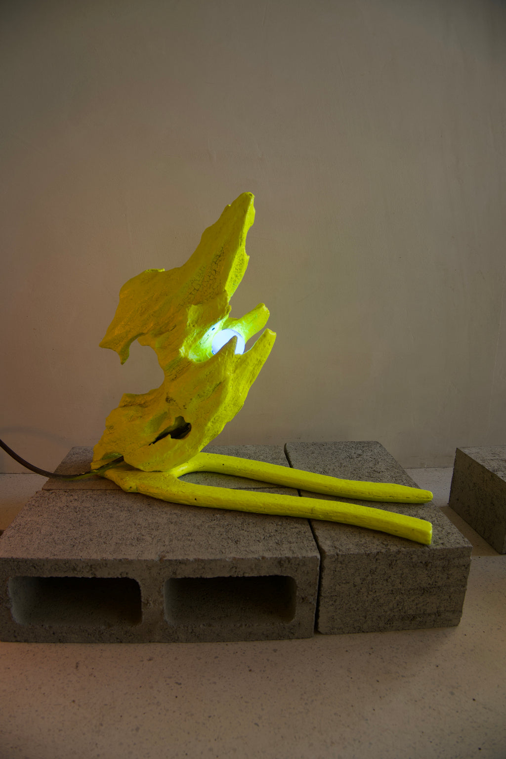 Lava Lamp