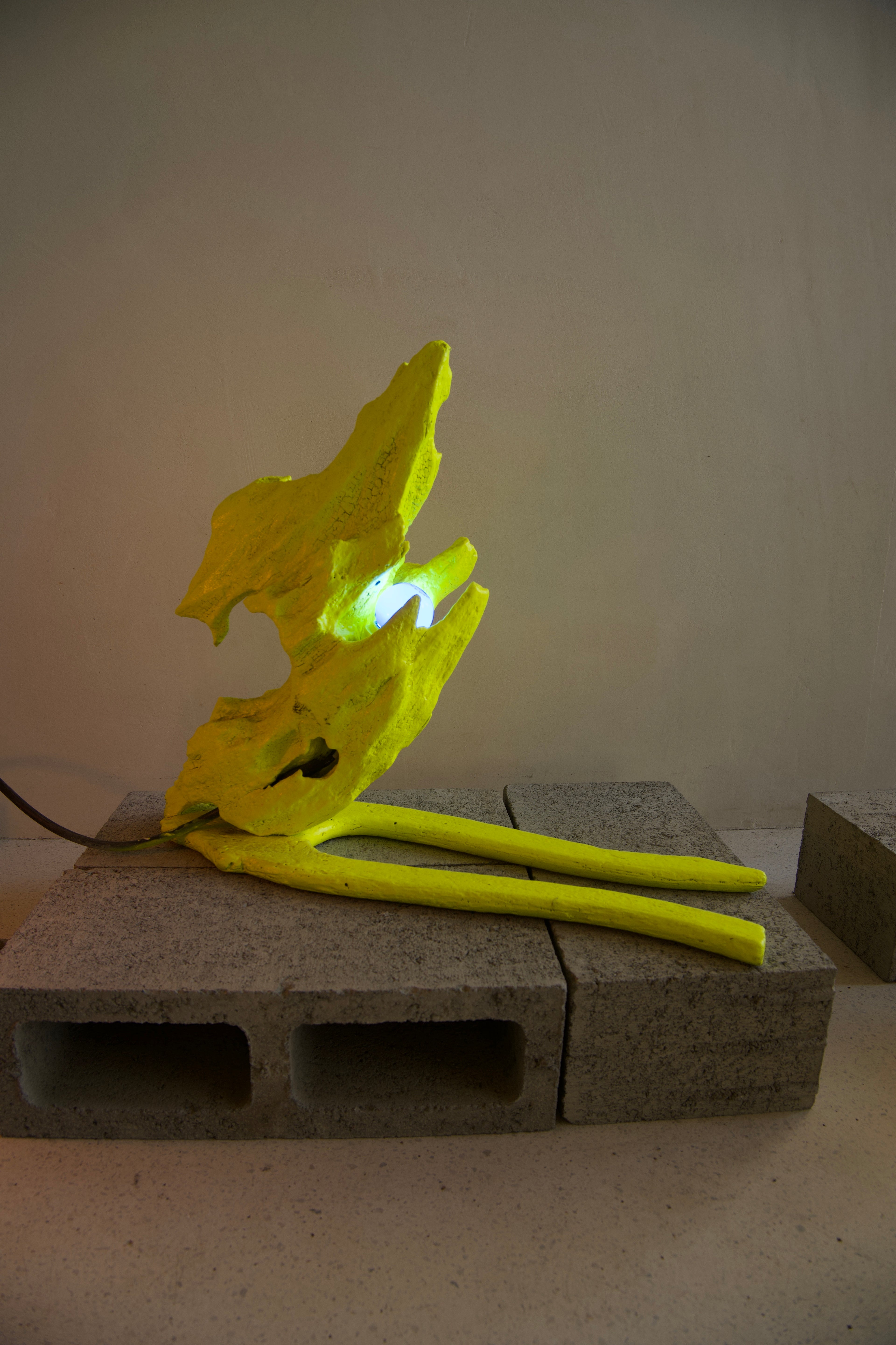Lava Lamp